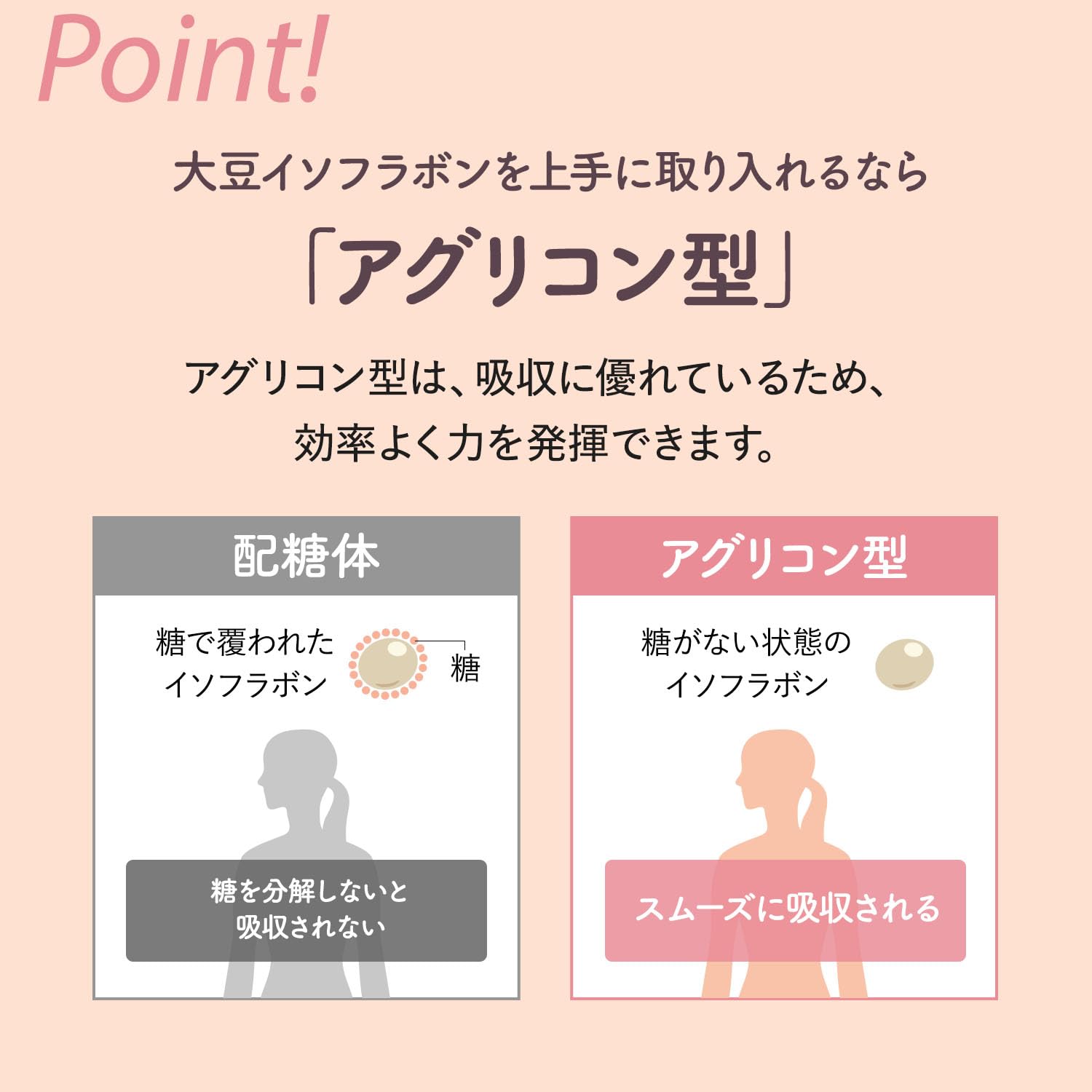 Fancl 30-Day Soy Isoflavone Lactic Acid Supplement with CoQ10