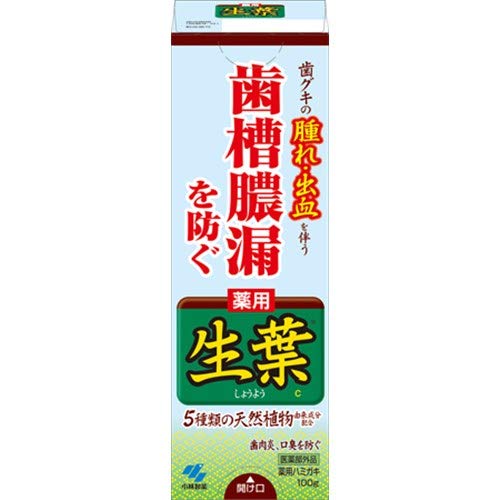 Kobayashi Pharmaceutical Fresh Leaves Shoyo A 100G Natural Herbal Remedy