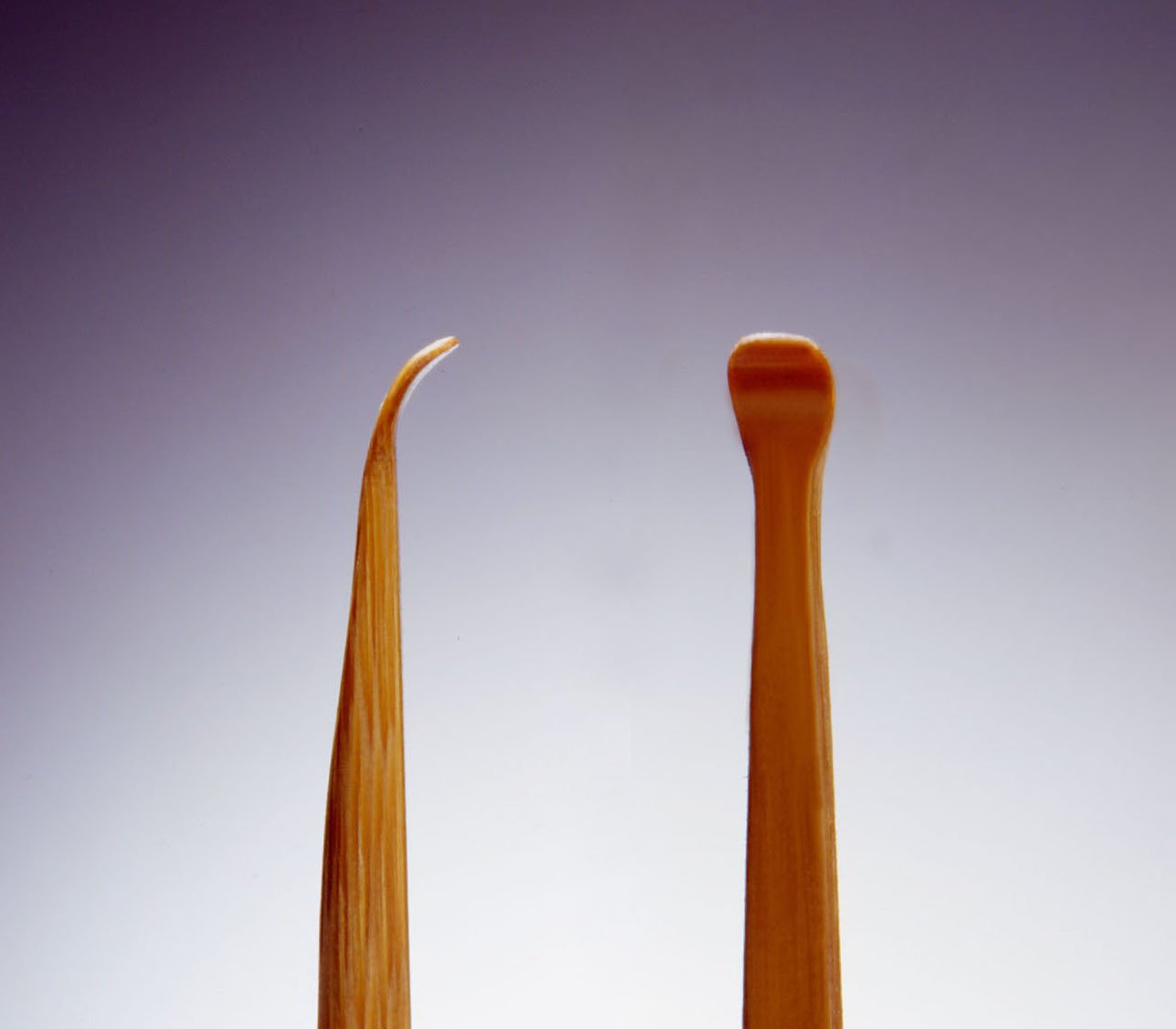 Green Bell Masterful Skills Premium Bamboo Earpick With Case G-2154