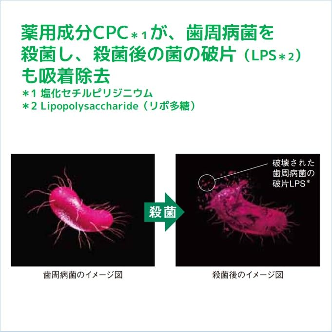 Gum Dental Paste 155G Quasi-Drug - Advanced Oral Care by Gum