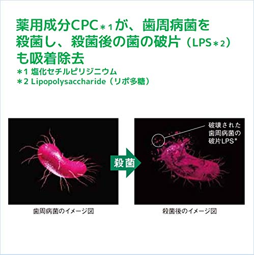 Gum Fresh Mint Gum Paste - Long-Lasting Freshness