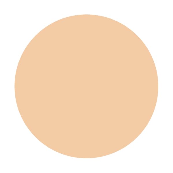 Integrate Gracy Premium Foundation Refill Ocher 10 Light Skin Tone 8.5G