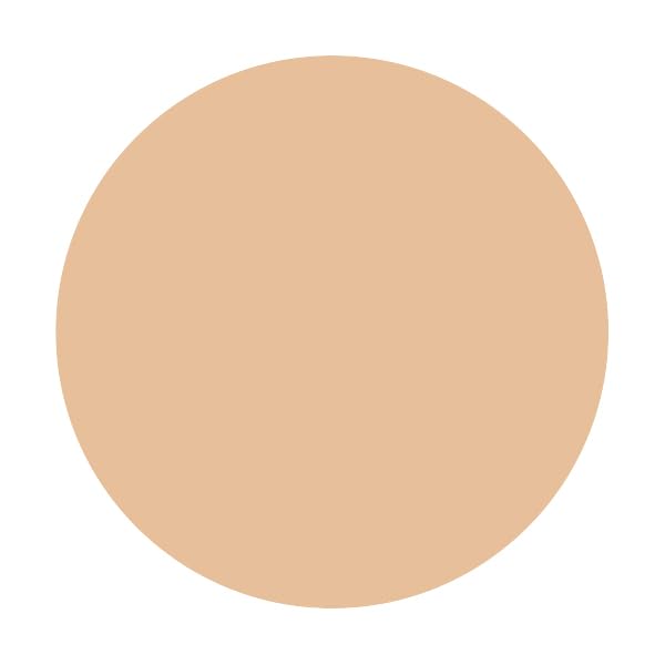 Integrate Gracy Premium Pact Foundation Refill Ocher 20 Natural Skin 8.5G