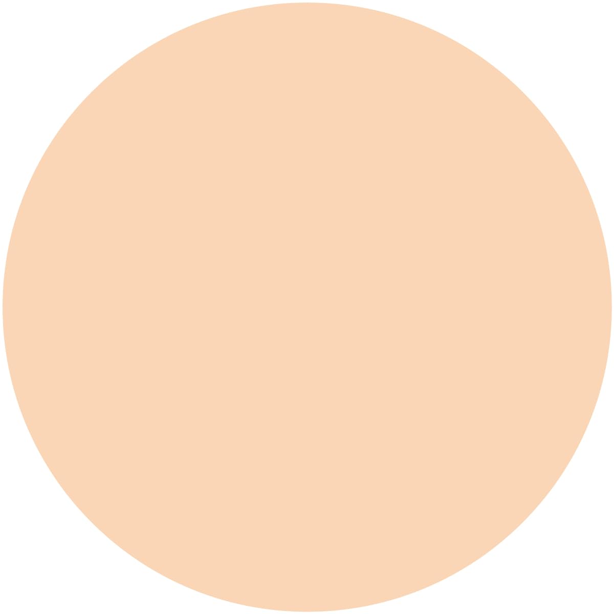 Kiss Isehan Matte Chiffon BB Cream SPF31 PA++ 02 Natural Finish