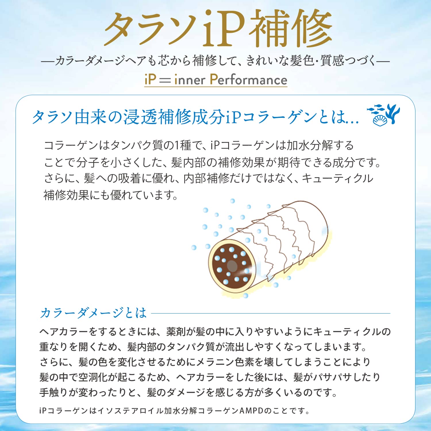 Je Laime Deep Moist Repair Serum Shampoo 480ml