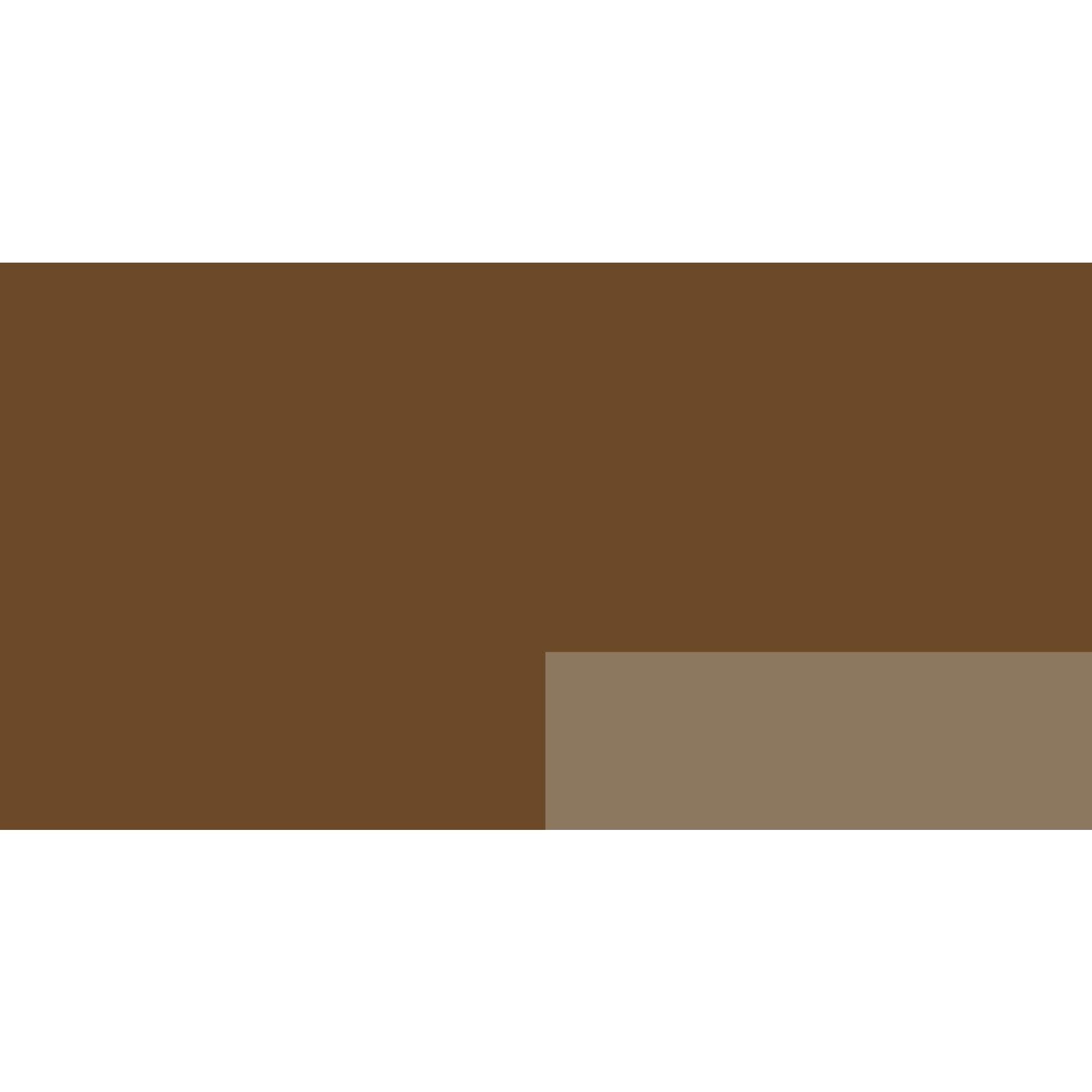 Copic Lefranc Bourgeois Flashe 125Ml Acrylic Vinyl Paint Tube Raw Amber