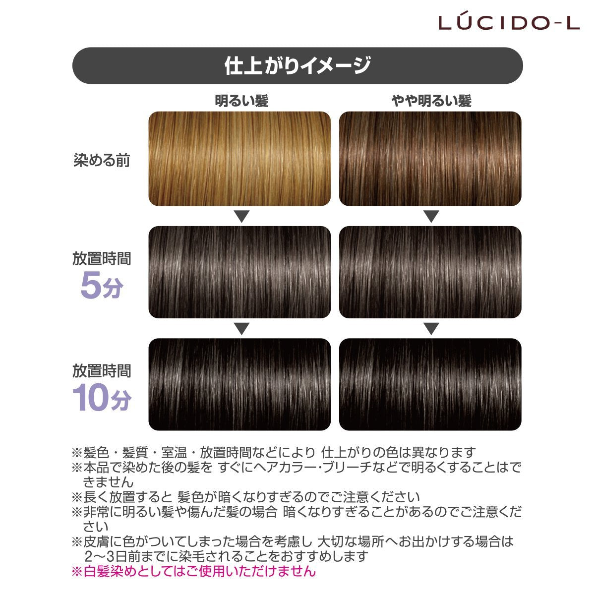 Lucido-L Milk Jam Natural Black Hair Color Restorer - 40g & 80ml Set