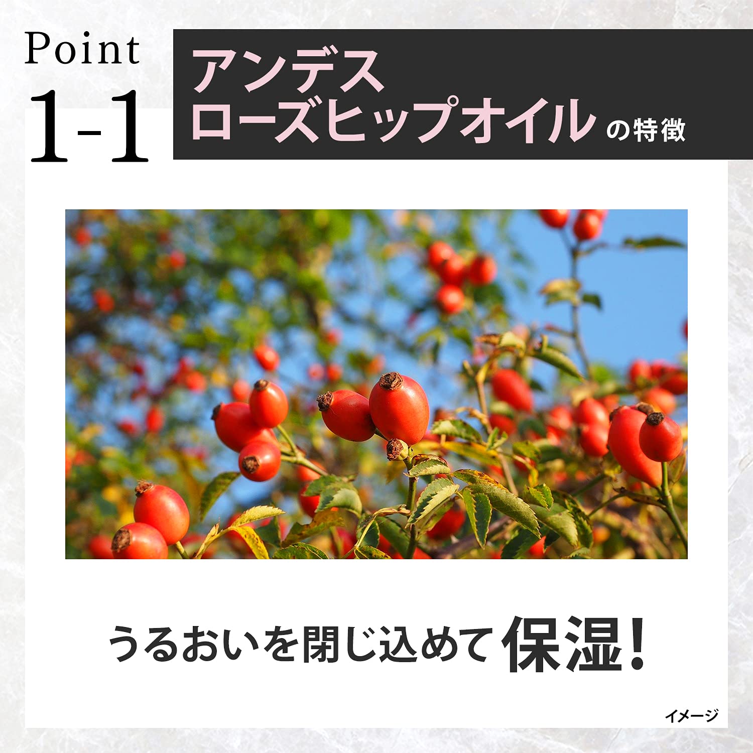 Lux Premium Botanical Damage Repair Treatment Pump 510G for Hair Care