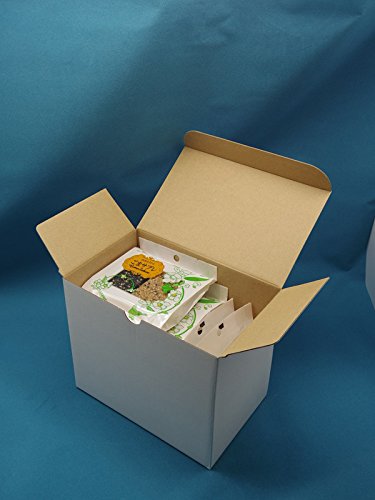 Bride Manten Goma Sablé Black & White Sesame Cookies 6 Pcs