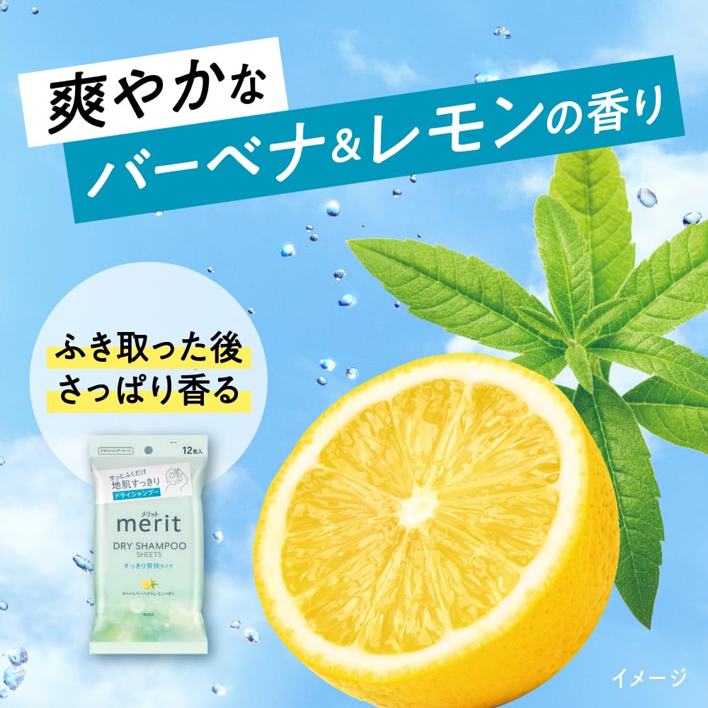 Merit Refreshing Dry Shampoo Sheets 20 Pack for Quick Hair Revitalization