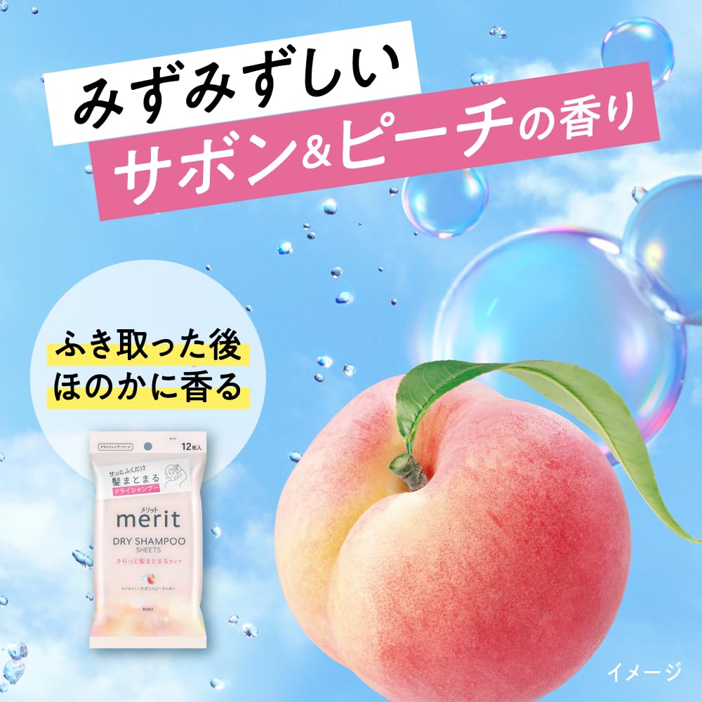 Merit Dry Shampoo Sheets 20-Pack for Smooth Hair