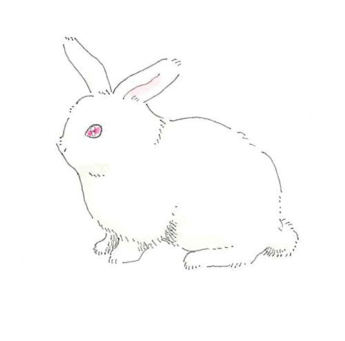 Deleter Neo Pico Line 3 Gray 0.03Mm Ultra-Fine Pen