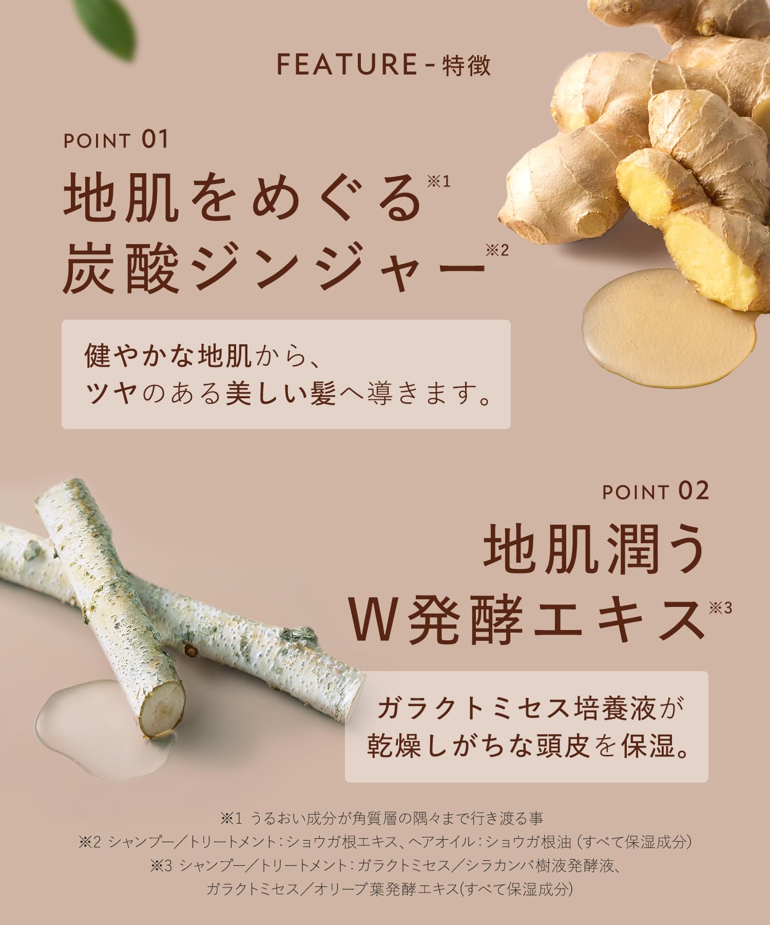 Botanist Rooth Hair Oil New Model - Anti-Aging Care for Healthy Hair