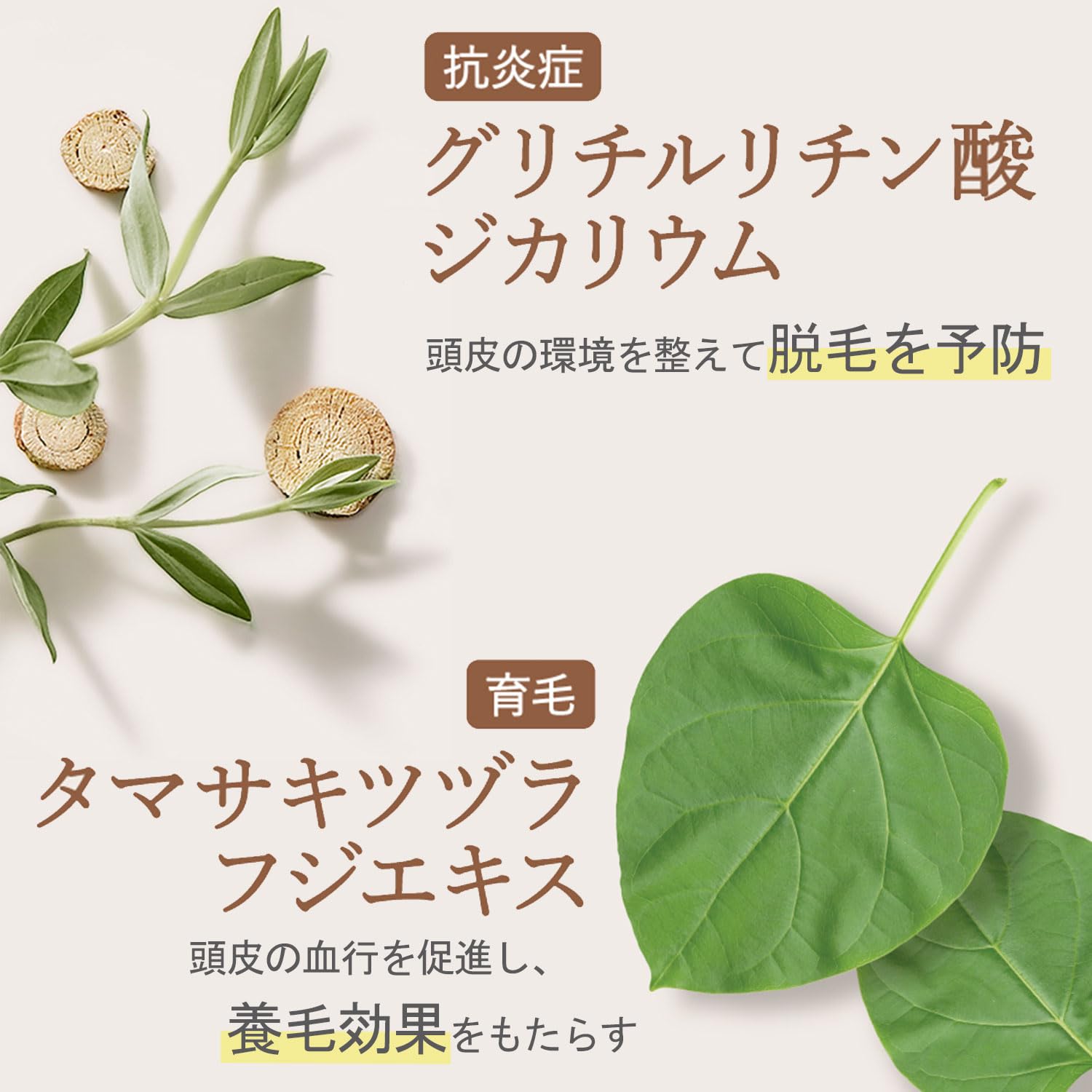 Off&Relax Medicated Hair Growth Tonic 100ml Quasi-Drug Formula