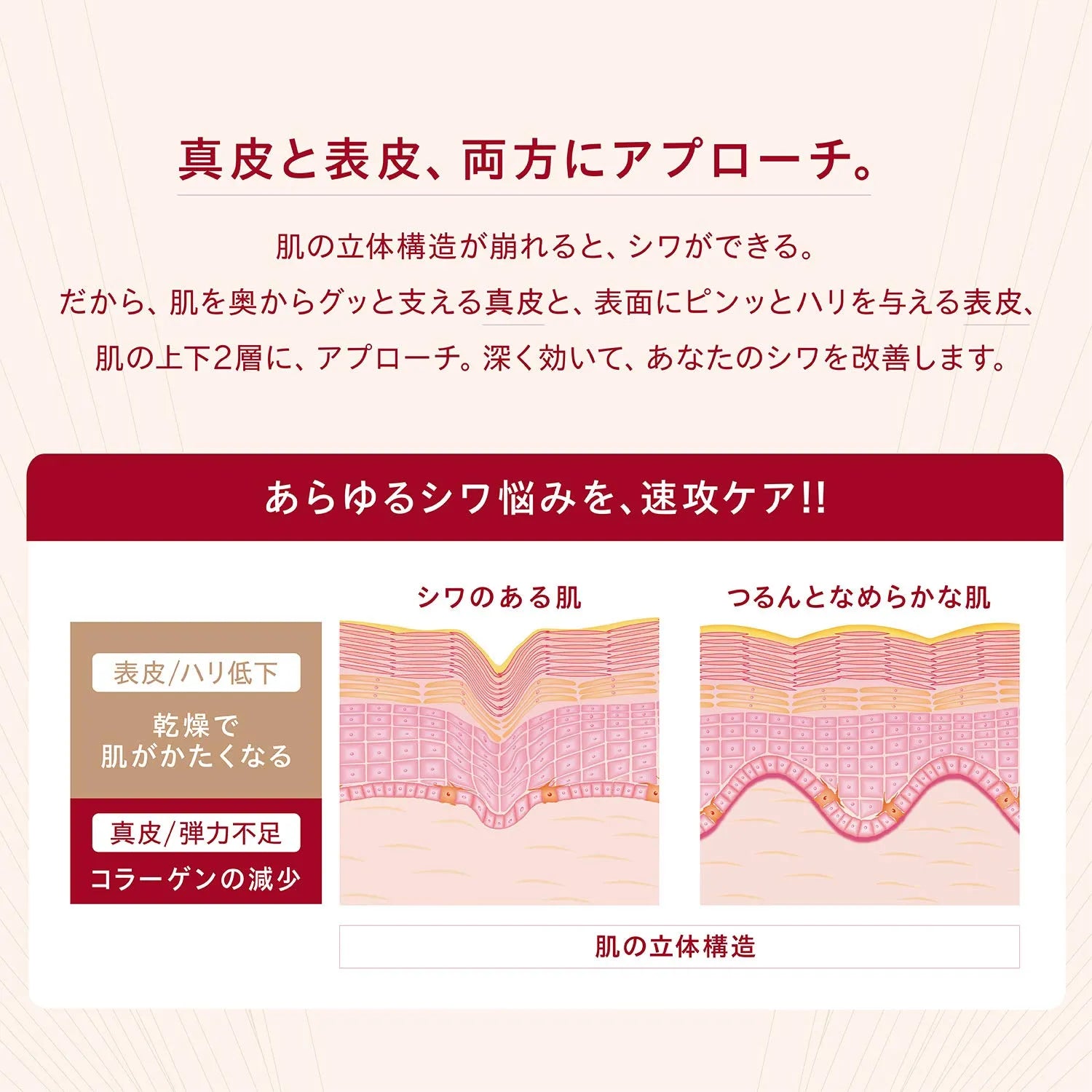 One By Kose The Wrinkless 6g - Wrinkle Repair Cream Made In Japan - Facial Japanese Skincare Product