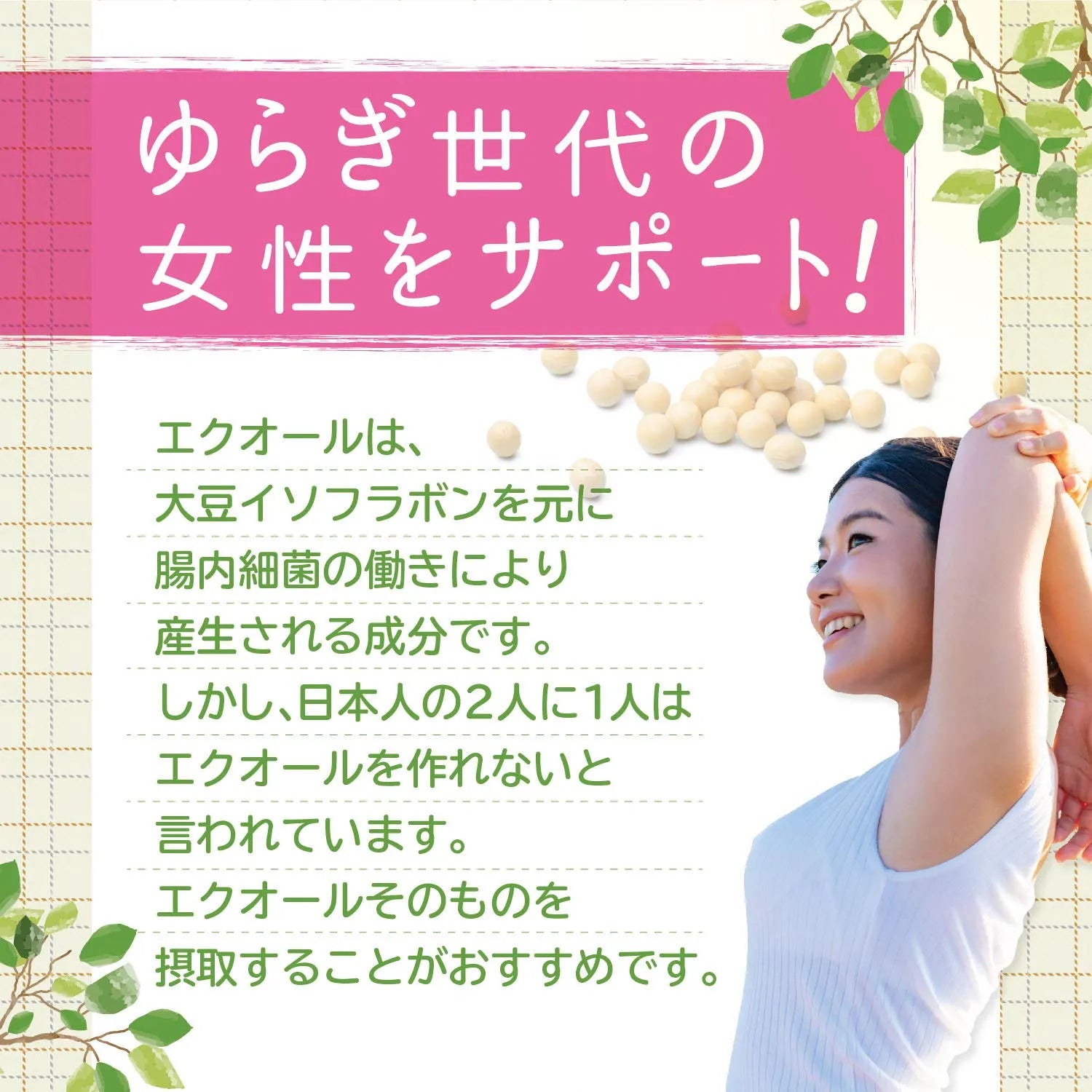Orihiro Equol & Fermented Ginseng 90 Tablets - Soybean Extract Products - Estrogen Supplements