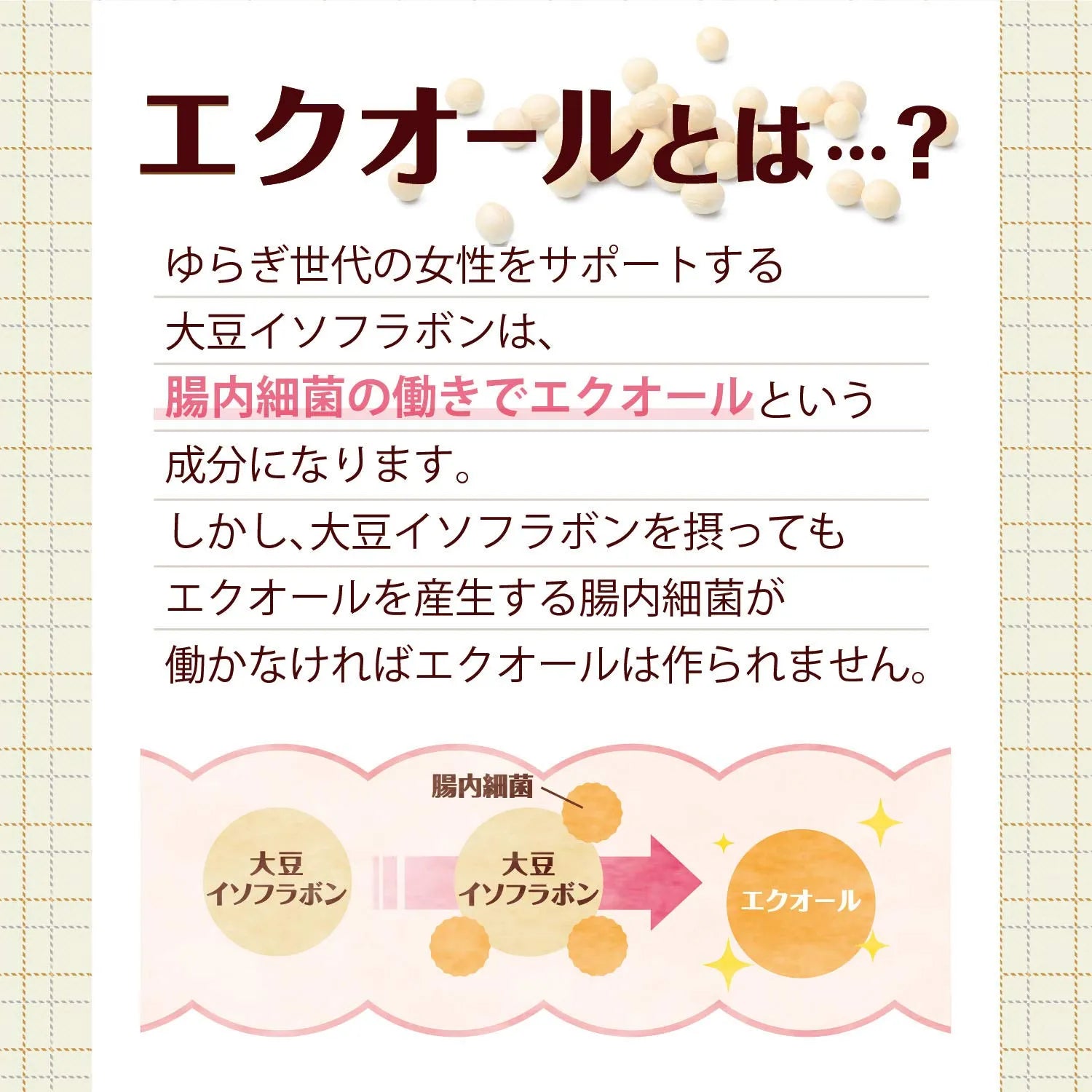 Orihiro Equol & Fermented Ginseng 90 Tablets - Soybean Extract Products - Estrogen Supplements