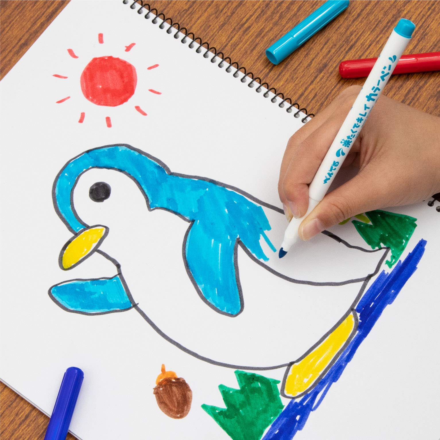 Pentel Water-Based Clean Color Pen Set 12 Washable Colors Japan