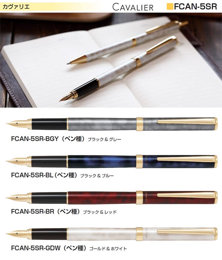 Pilot Fountain Pen Cavalier Black & Gray Fcan-5Sr-Bgym Japan (Medium Point)