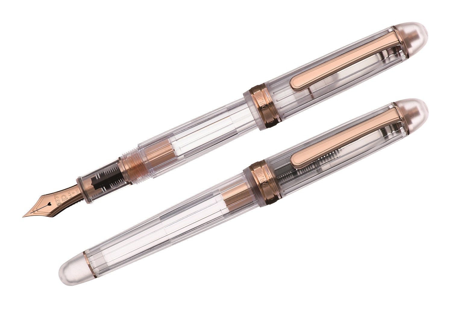 Platinum Fountain Pen - #3776 Century Nice Rose Fine Point Pnb-20000R#5-2