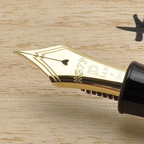 Platinum Brand #3776 Yakusugi Fine Point Fountain Pen PTB-50000YN#62-2 Model