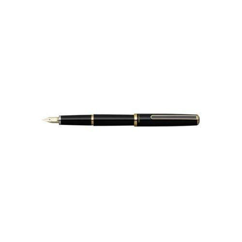 Platinum Bisaku 14K Black Fine Point Fountain Pen Ptl-5000A#1-2