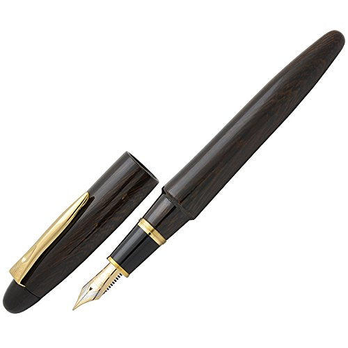 Medium Point Platinum Izumo Tetsutoki Fountain Pen by Platinum Fountain Pen