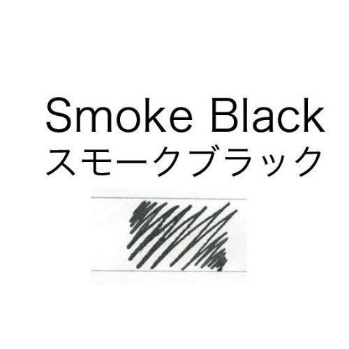 Platinum Fountain Pen Smoke Black Mixable InkM-1200 Water-Based Dye