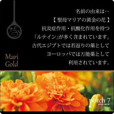 Pola Aroma Esse Gold Scented Body Soap 470ml - Luxurious Skin Care