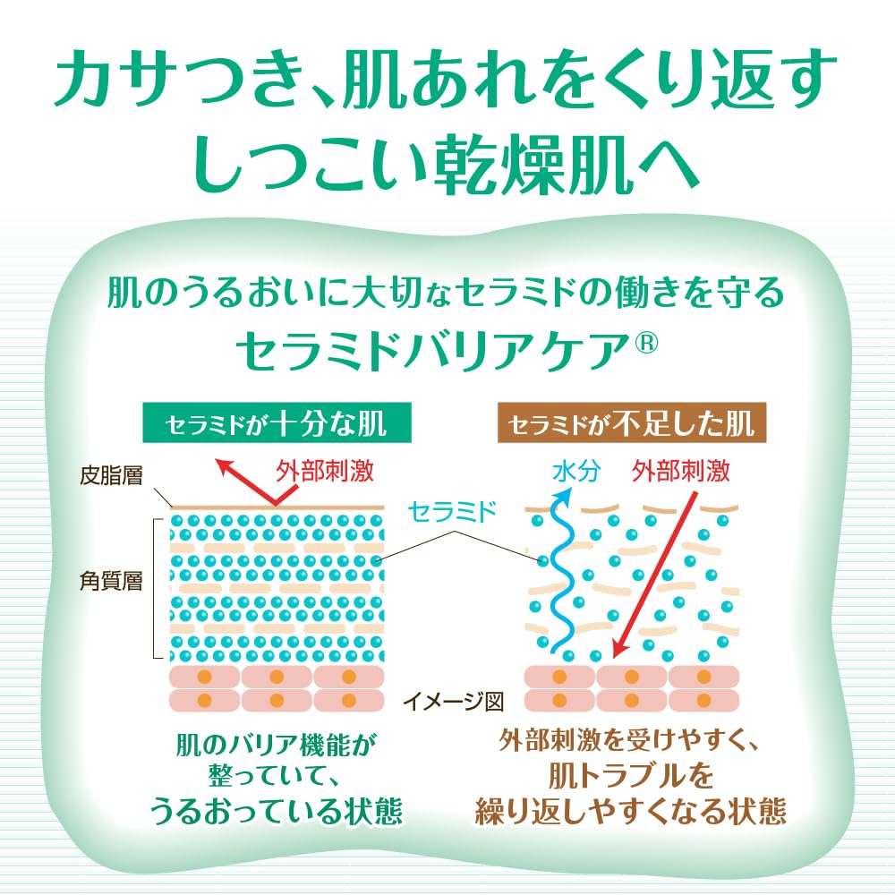 Rohto Carecera Moisturizing Body Wash with Ceramide 450ml