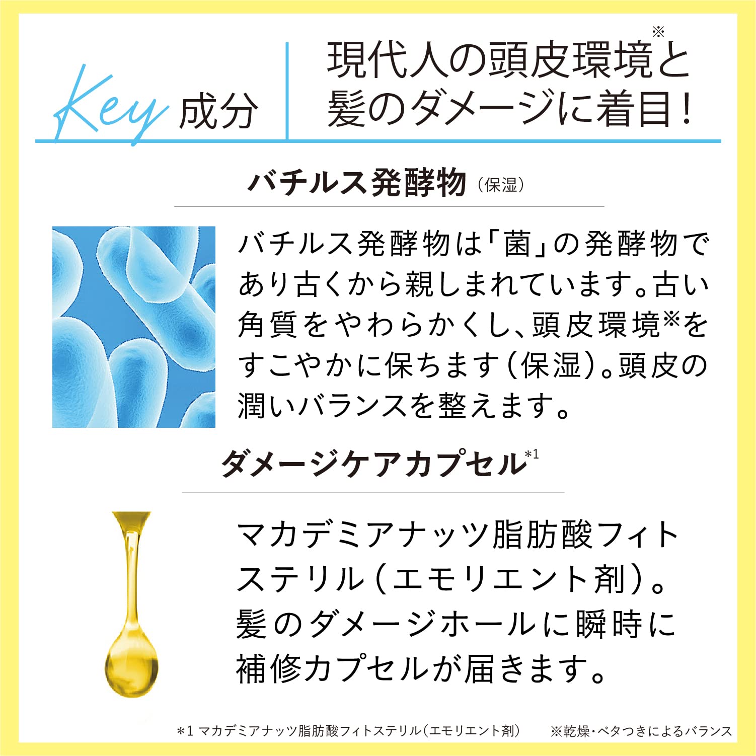 Saborino Hayaraku Shampoo Moist 440Ml – Quick Moisturizing for Wavy Hair