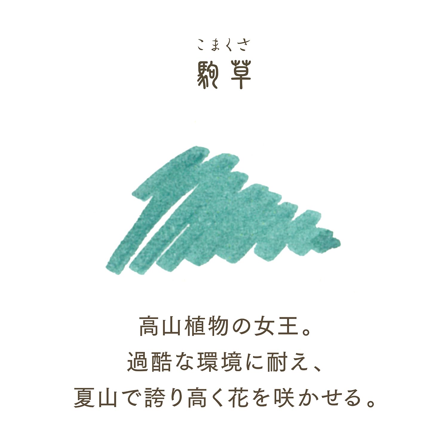 Sailor Fountain Pen Shikiori Sansui Komagusa 20ml Bottle Ink Dye 13-1008-230