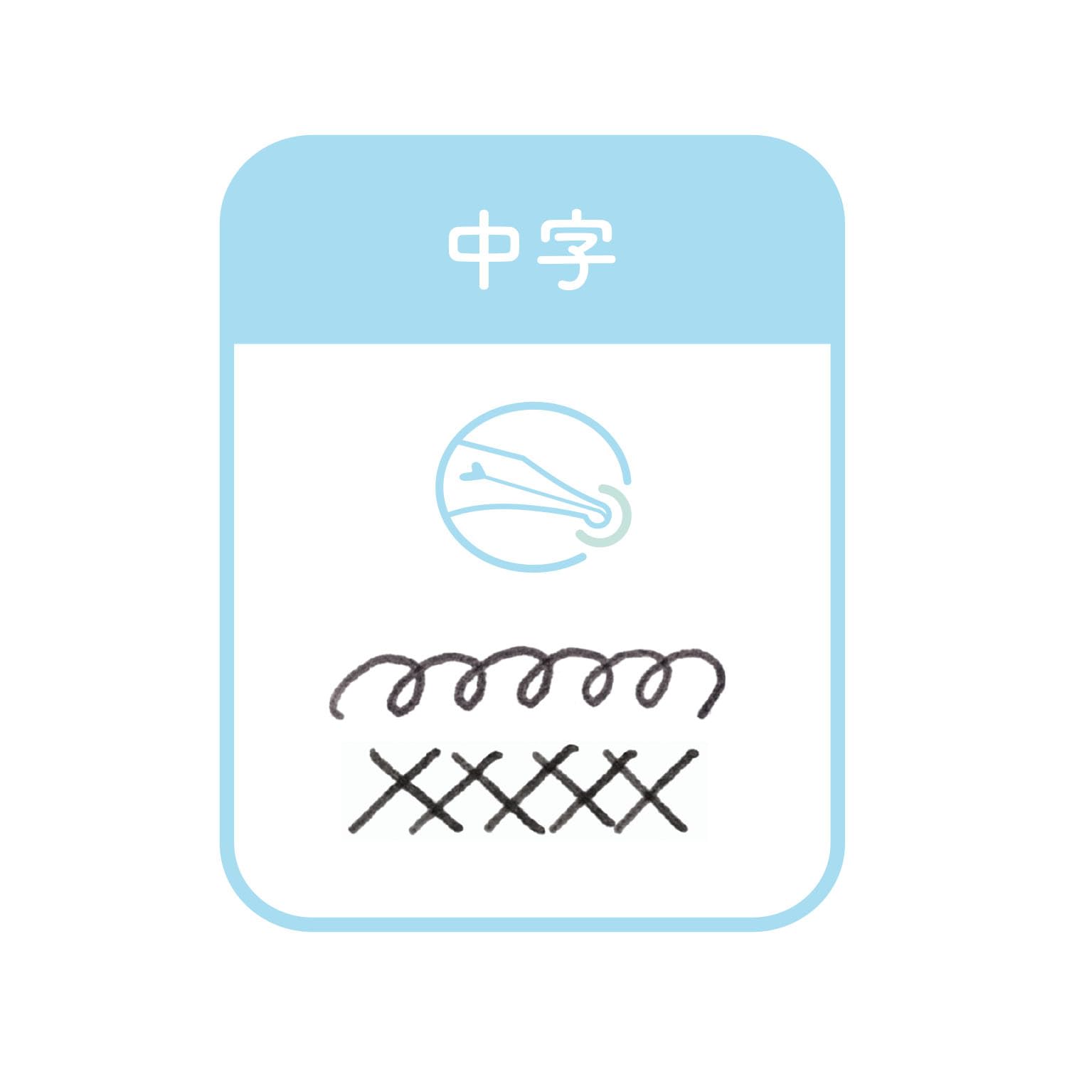 Sailor Fountain Pen Medium Point Hocoro Gray Nib Dip Model 12-0135-421