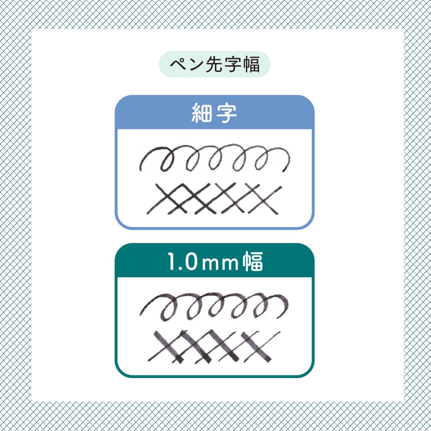 Sailor Fountain Pen Fine Point 1.0mm Nib Hocoro Double Gray Model 12-0220-021