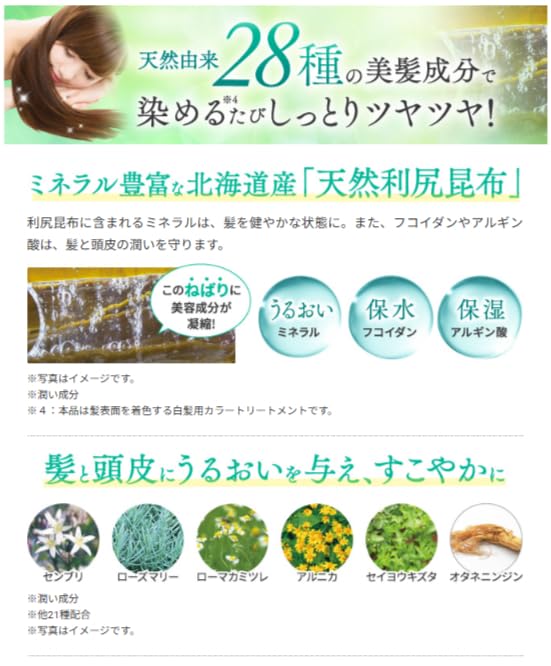 Sastty Rishiri Hair Color Treatment Black 200g for Gray Hair Coverage