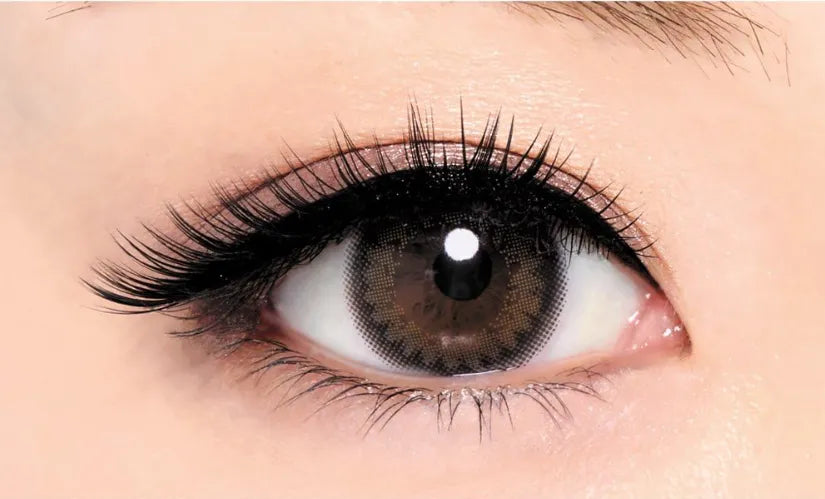 Japan D-Up Rich Series 805 Eyelash