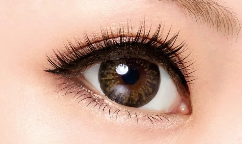 Japan D-Up Rich Series 805 Eyelash