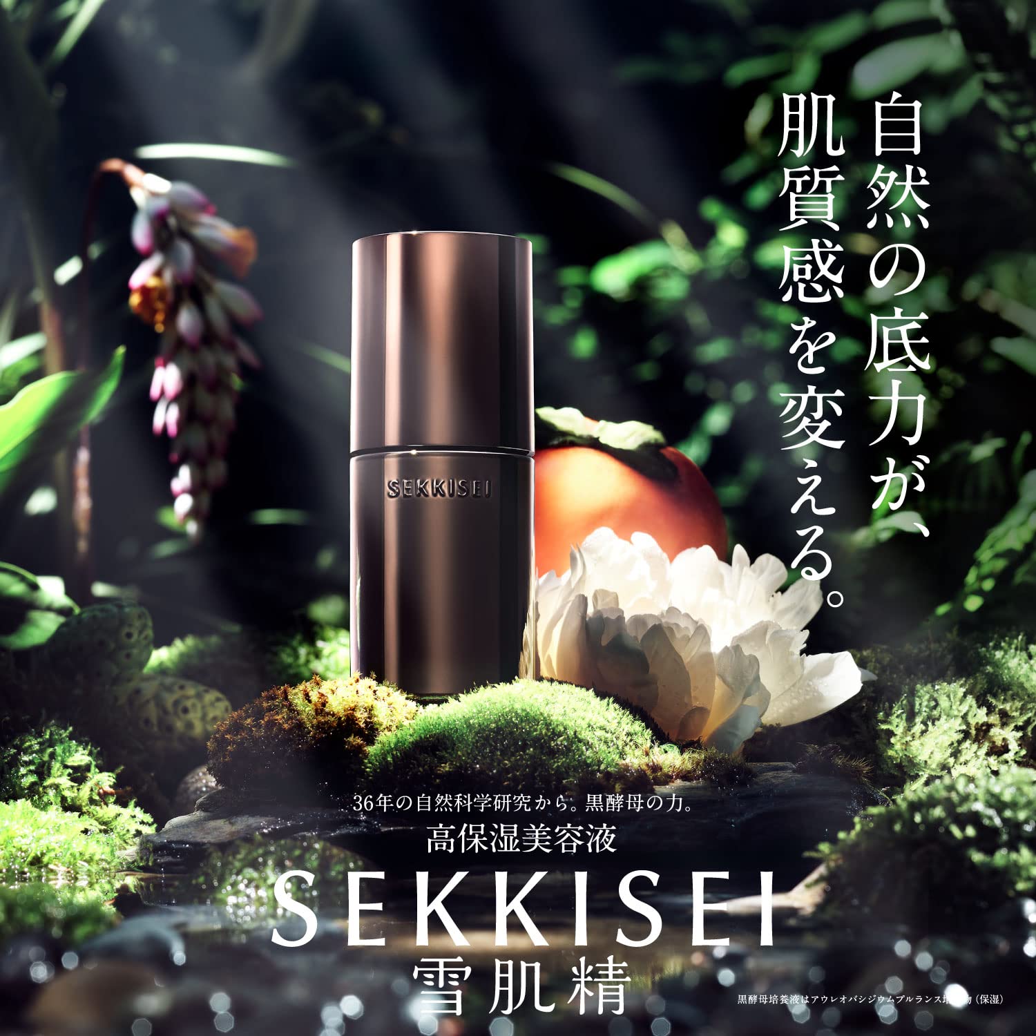 Sekkisei Clear Wellness V Serum 50Ml - Radiant Skin Enhancer