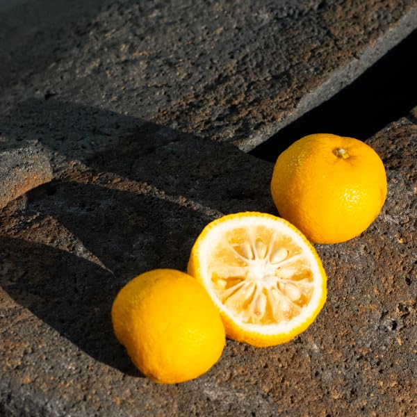 Shiro Yuzu 水包油保濕精華 120 毫升,讓肌膚煥發光彩