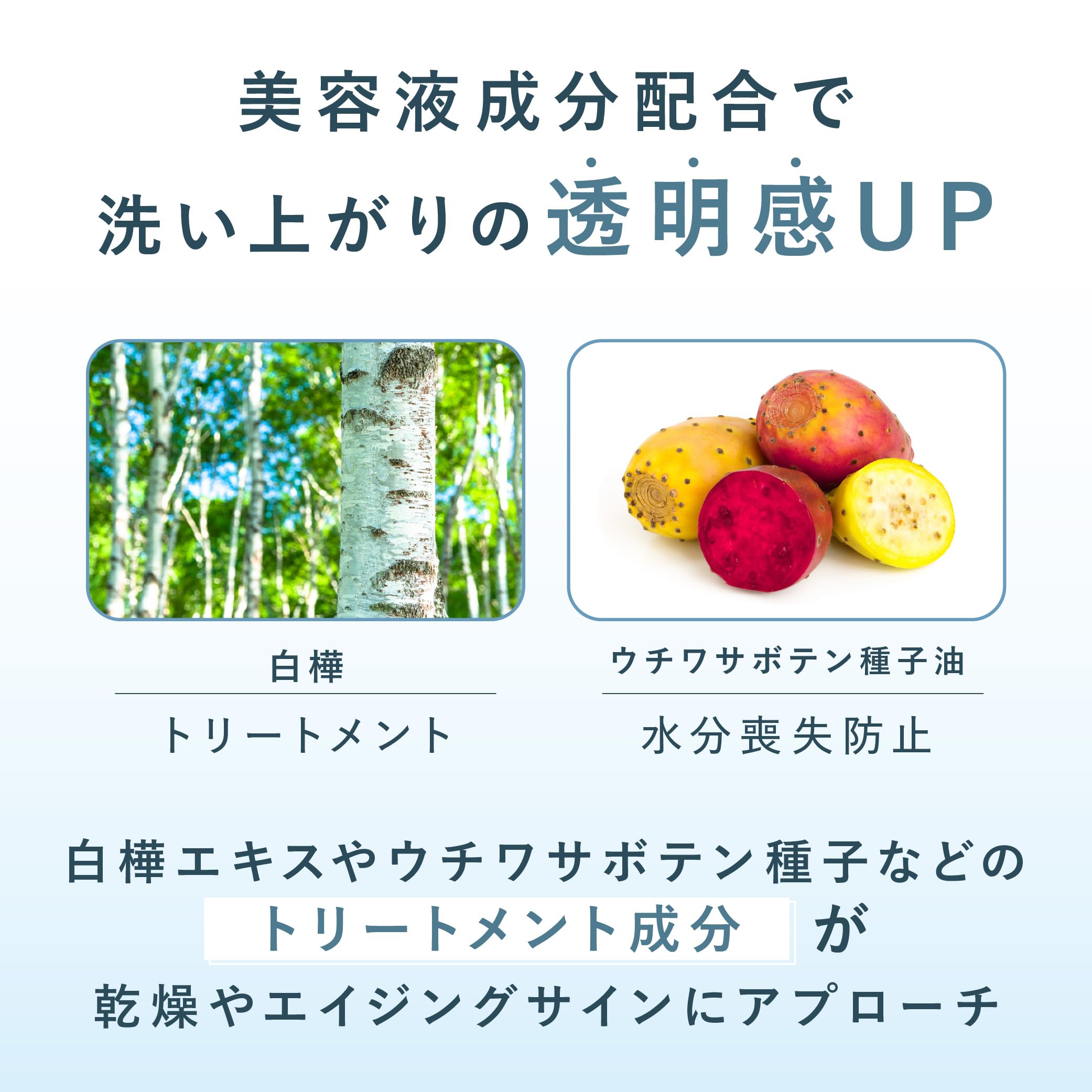 SINN PURETE Cleansing Gel: Pore Cleanser & Makeup Remover 2-Month Supply