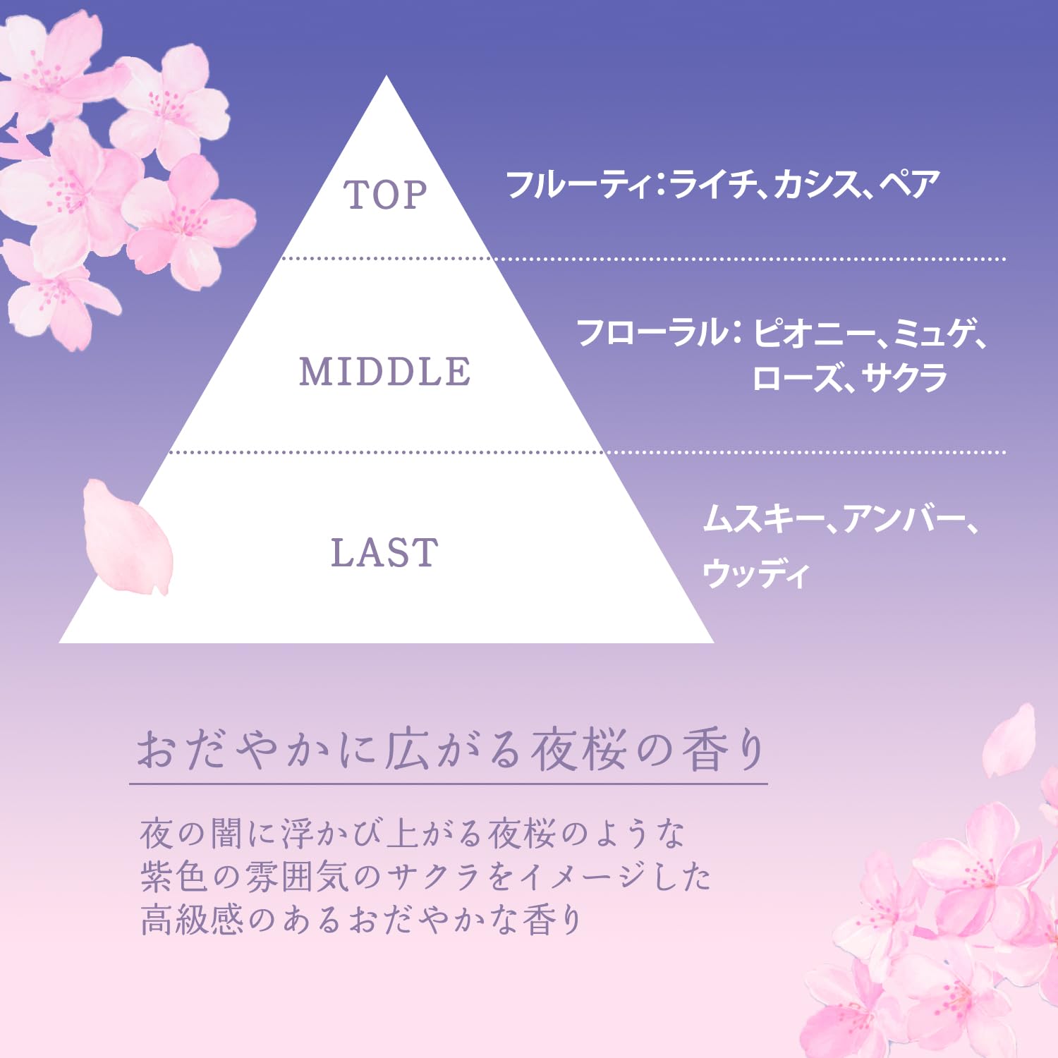 소프티모 클리어 프로 쿠션 클렌징 오일 - 나이트 체리 블라썸 메이크업 리무버