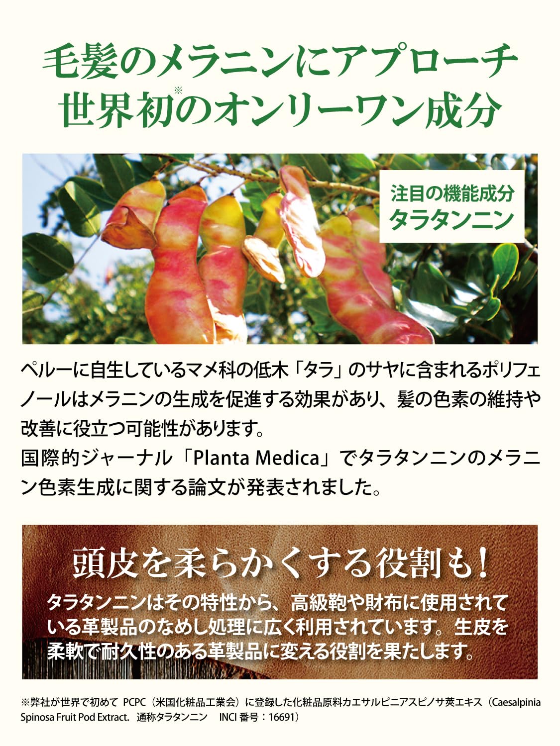 Suna Bioshot Double Black Scalp Essence for Gray Hair and Scalp Care (peppermint)