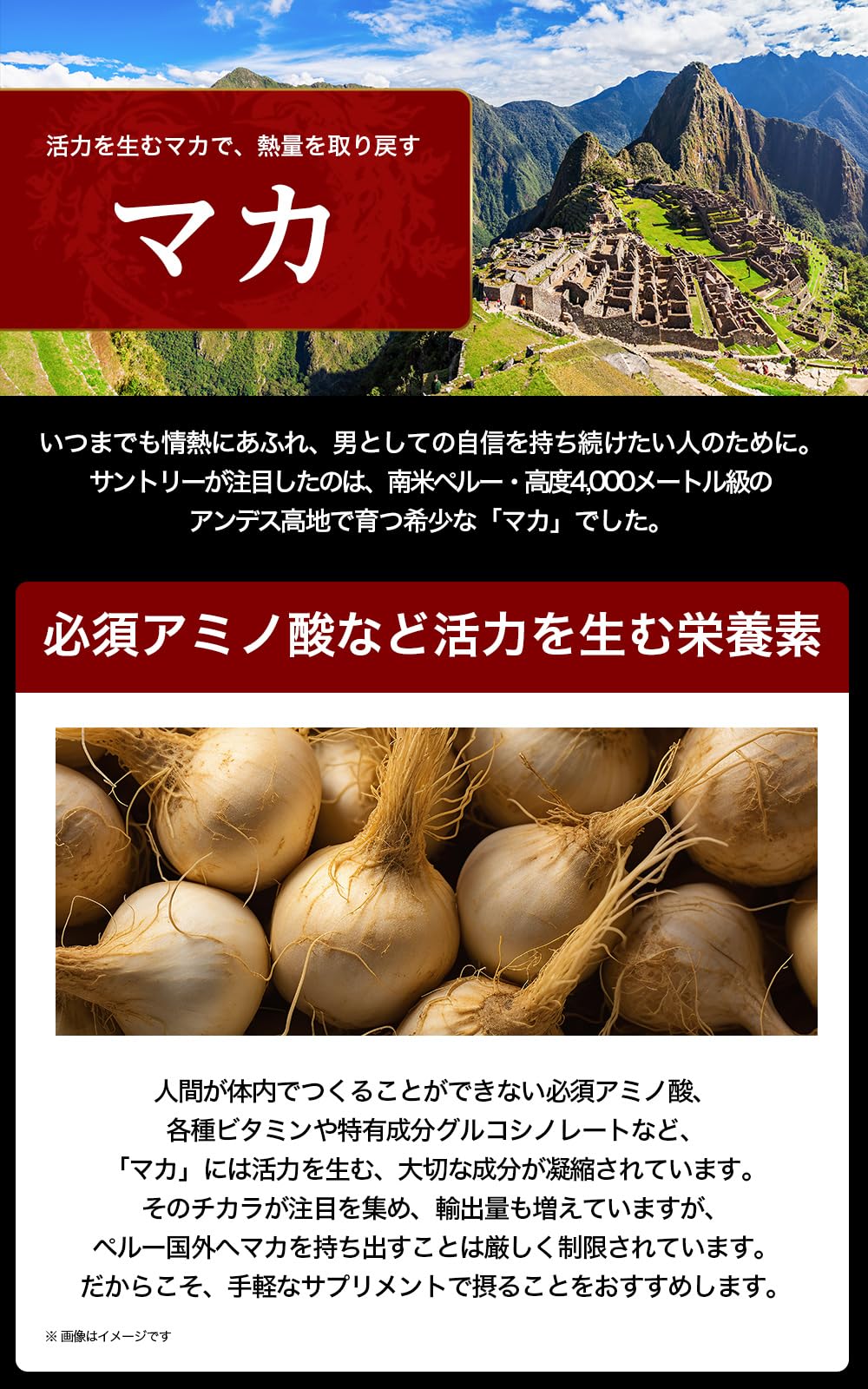 Suntory Grand Maca Men's Vitality Supplement with L-Citrulline and Zinc - 120 Tablets