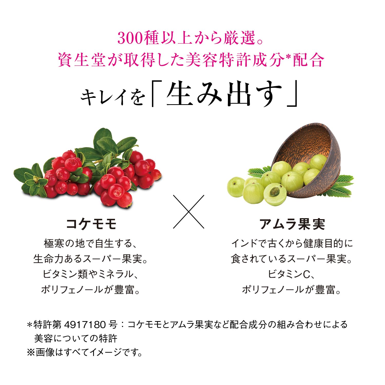 The Collagen Cycle Shot Active Supplement 2.5G x 7 Bags for Health Food