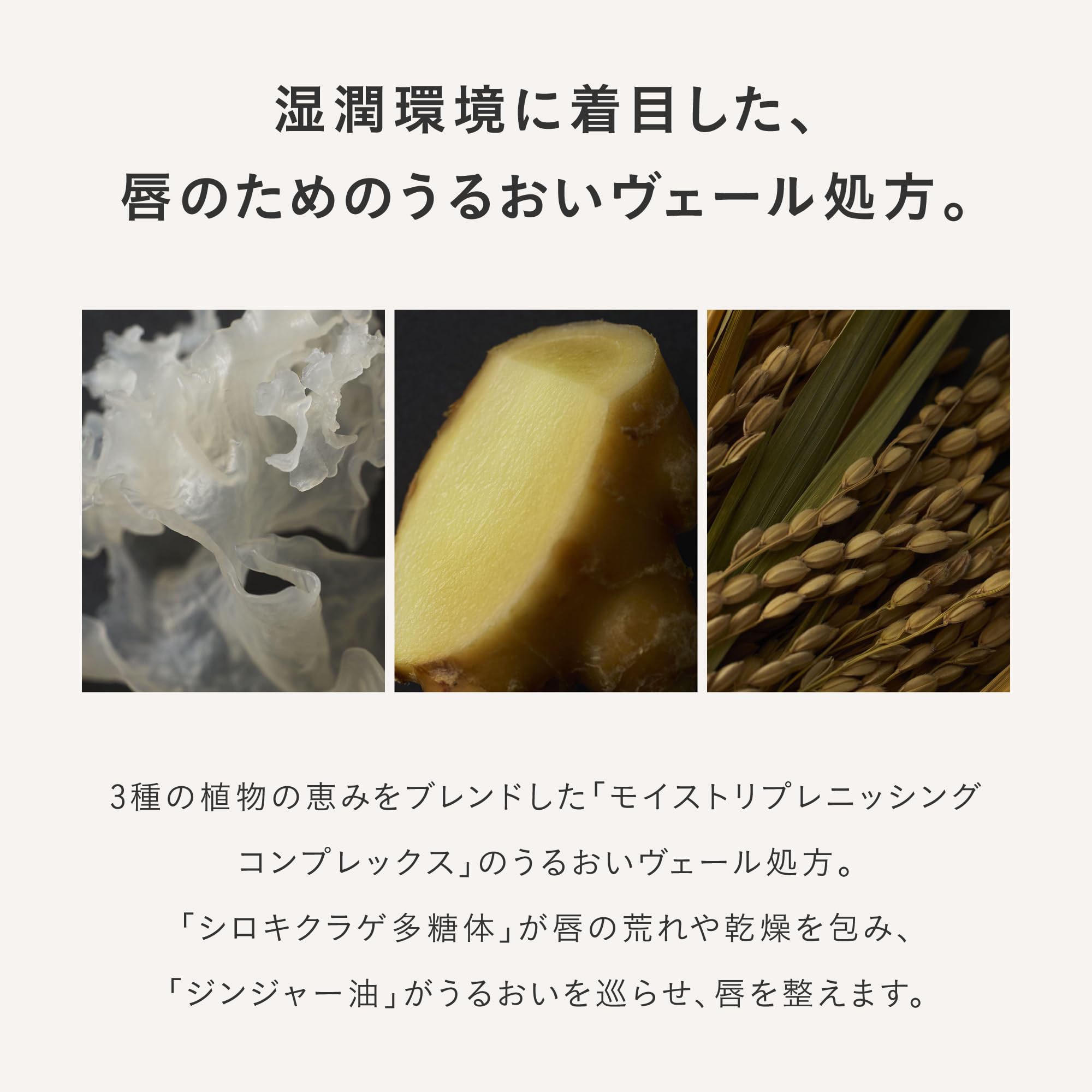 Three Lip Balancing Protective Lip Bar SPF20 PA++ 3G Hydrating Formula