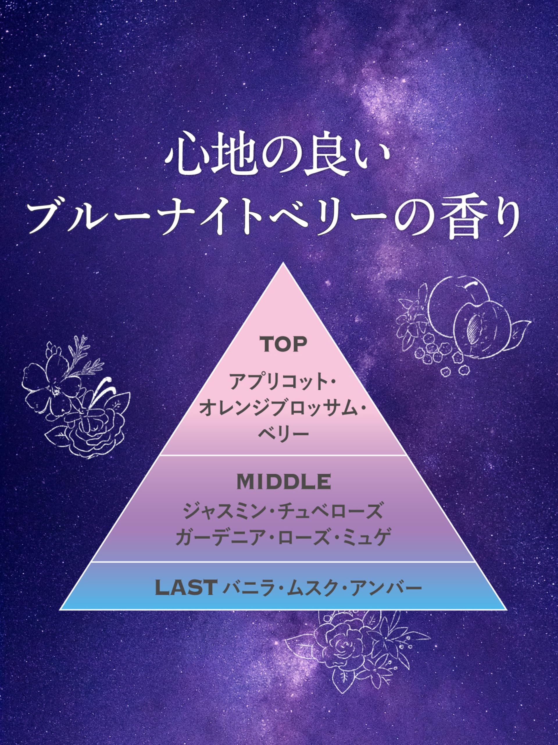 Diane Tom and Jerry Night Repair Shampoo and Treatment Midnight Berry