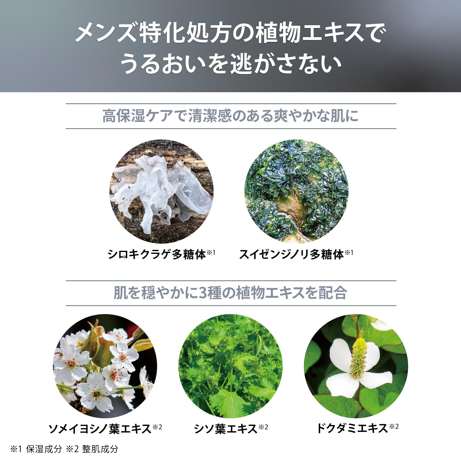 雅萌保濕乳液 120 毫升 適用於電動刮鬍刀 相容於 Hotshave 型號