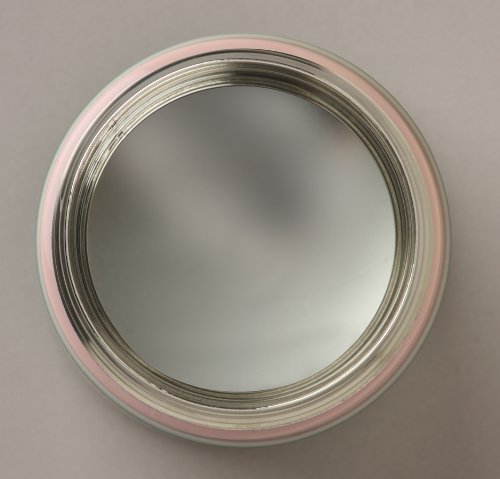 Zojirushi 12-Ounce Stainless Steel Food Jar in Shiny Pink 0.35-Liter Capacity