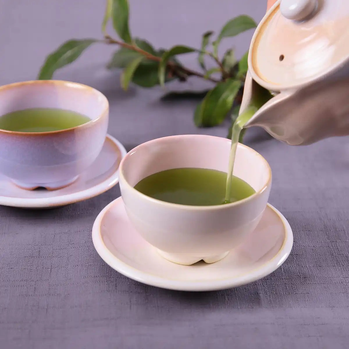 Akabori Store Gold Award Winning Deep Steamed Tea First Picked 100G Akahori