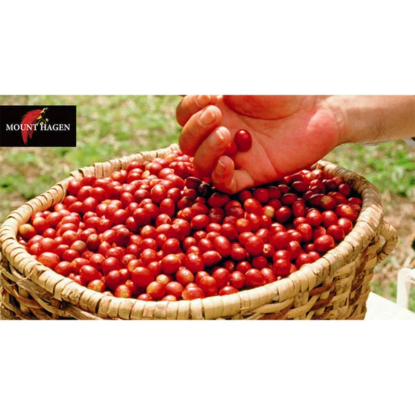 Mount Hagen Arabica Cafe Instant 50g - Freeze-Dried Instant Coffee - Arabica Coffee